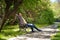 Handsome mature freelancer man with grey beard, sitting on the bench at the park with hands folded behind his head