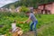 Handsome middle-aged man chopping wood with axe at backyard of country house. Man with chopper standing near woodpile