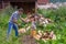 Handsome middle-aged man chopping wood with axe at backyard of country house. Man with chopper standing near woodpile