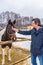 Handsome middle-aged man patting horse at ranch in snowy day. Winter weekend at farm, trip to countryside. Healthy lifestyle,