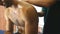 Handsome muscular sportsman sitting on massage table and arms of masseur massaging him shoulder in salon. Male hands of