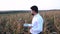 Handsome serious agricultural engineer, walking on the corn field severely affected by the drought