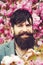 Handsome smiling bearded man outdoors. Spring day. Spring pink sakura blossom. Bearded stylish man. Happy guy in pink flowers