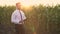 Handsome, well-dressed businessman holding a tablet and standing in the middle of a green corn field, during a majestic sunrise