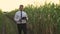 Handsome, well-dressed businessman holding a tablet and walking through a green corn field