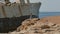 Handsome woman looks at old ship in Cyprus