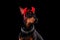 Handsome young doberman portrait with red horns on his head against a black wall background. Close up.