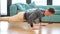 Handsome young man at home doing push-ups on the floor