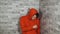 A handsome young man in a red hoodie dusts himself, standing in a corner in the studio.