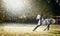 Handsome young stallion horse runs gallop on beautiful pasture background