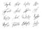 Handwriting Autograph set. Personal fictitious signature calligraphy lettering. Scrawl imaginary name for document