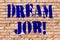 Handwriting text Dream Job. Concept meaning To work in what you like Fulfilling activities Brick Wall art like Graffiti