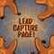 Handwriting text Lead Capture Page. Concept meaning landing sites that helps collect leads for promotions Starfish photo