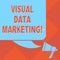 Handwriting text Visual Data Marketing. Concept meaning Use images to convey information in visual format Color