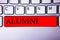 Handwriting text writing Alumni. Concept meaning Alum Old graduate Postgraduate Gathering College Academy Celebration Keyboard red