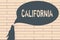 Handwriting text writing California. Concept meaning State on west coast United States of America Beaches Hollywood