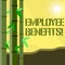 Handwriting text writing Employee Benefits. Concept meaning list of advantage recruiter get at work Insurance.