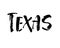 Handwritten american state name Texas. Calligraphic element for your design. Modern brush calligraphy. Vector