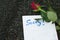 Handwritten apology note and a red rose on the ground