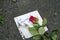 Handwritten apology note and a red rose on the ground