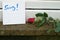 Handwritten apology note and red rose on the ground near the door