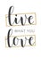 Handwritten Lettering of Live What You Love. Vector Illustration
