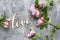 Handwritten love word and pink roses on grey stone background