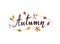 Handwritten Word Autumn with beautiful leaves around. Isolated autumnal illustration with lettering. - Vector