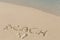 Handwritting inscription word BEACH on sand
