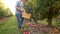 Handyman on a farm harvesting apples in a wooden box. Large apple orchard, guest workers, hired labor in agriculture