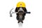 Handyman  hammer dog with helmet