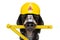 Handyman  hammer dog with helmet