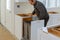 Handyman installed drawers garbage bin in the kitchen