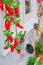 Hang chili vegetable food preservation