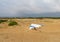 Hang glide student landing on sand dunes in North Carolina