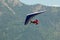 Hang glider