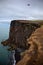 Hang-glider, black cliffs of Dyrholaey