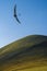 Hang glider just after launch from Monte Cucco Regional Park, Umbria, Italy