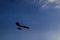 Hang-glider silhouette in sky