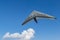 Hang glider wing and blu sky with white cloud