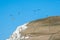 Hang-gliders over Cap Blanc-Nez cliffs near Calais