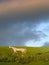 Hang Gliding off Westbury White Horse