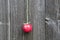 Hang red fresh apple on green string on wooden wall