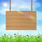 Hang wood board sign with grass and sky background