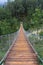 The Hangebrucke, hanging wooden bridge in the forest of Berchtesgaden National Park, Germany