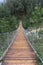 The Hangebrucke, hanging wooden bridge in the forest of Berchtesgaden National Park, Germany