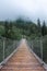 The Hangebrucke, hanging wooden bridge in the forest of Berchtesgaden National Park, Germany