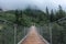 The Hangebrucke, hanging wooden bridge in the forest of Berchtesgaden National Park, Germany