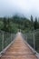 The Hangebrucke, hanging wooden bridge in the forest of Berchtesgaden National Park, Germany