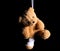 Hanged bear in dark background